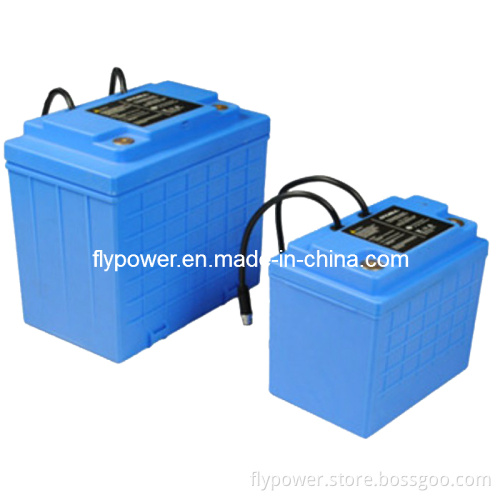 LiFePO4 Battery Module Pack (FlyPower model FLFP-12400E1, FLFP-121100E1, FLFP-12330P1, FLFP-12900P1 and FLP-18700E1)